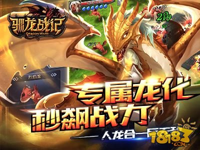 驯龙战记_一笑下载站