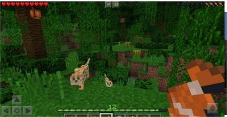 龙骑士mod手机版_一笑下载站