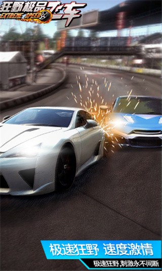 狂野极品飞车_一笑下载站