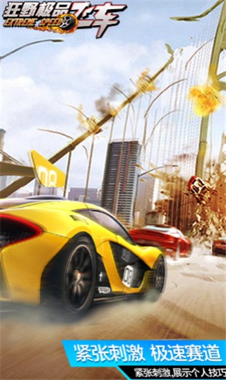 狂野极品飞车_一笑下载站