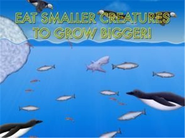 美味海洋鲨鱼版_一笑下载站