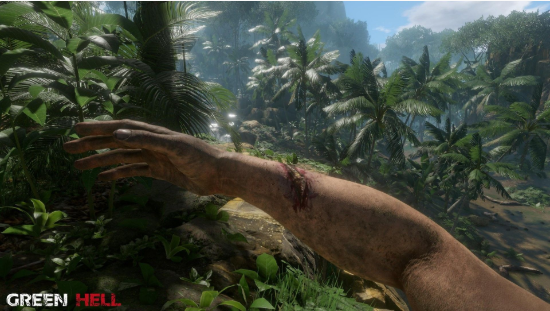 绿色地狱_一笑下载站