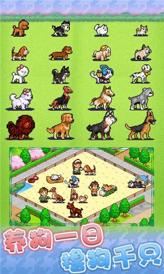 发现狗狗乐园破解版_一笑下载站