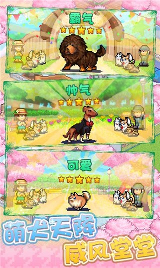 发现狗狗乐园破解版_一笑下载站