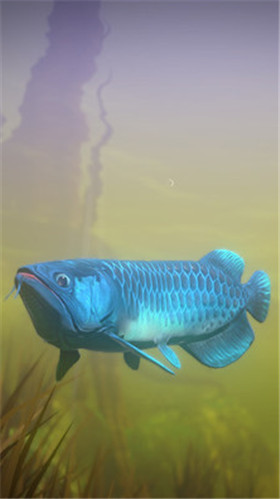 海底大猎杀_一笑下载站