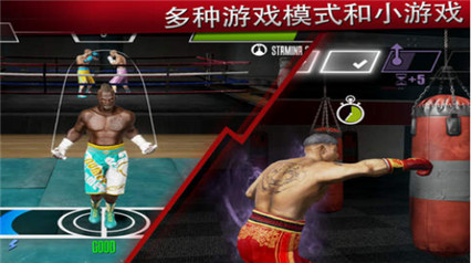 真实拳击2_一笑下载站