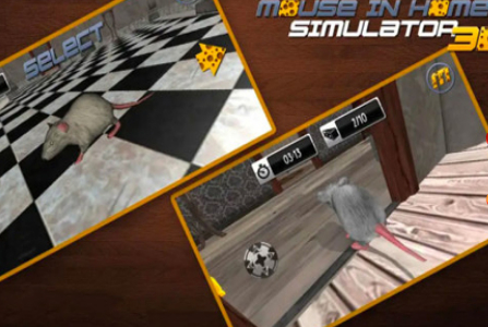 猫鼠之战_一笑下载站