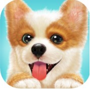 天天小狗游戏免费_一笑下载站