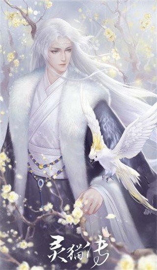 灵猫传破解版_一笑下载站