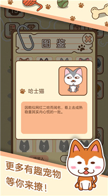 梦幻宠物店飞狗日记_一笑下载站