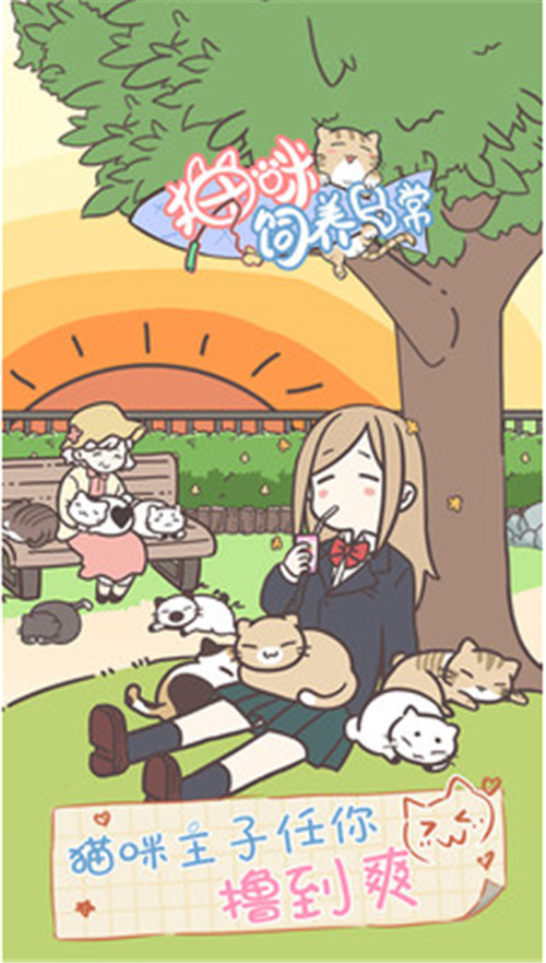 猫咪饲养日常中文版_一笑下载站