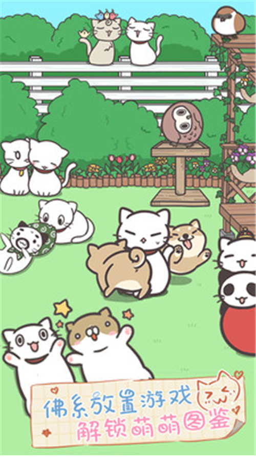 猫咪饲养日常中文版_一笑下载站