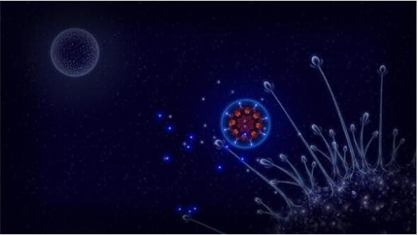 微观世界安卓版_一笑下载站