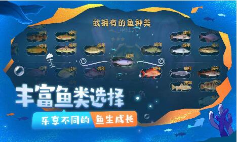 一只鱼_一笑下载站