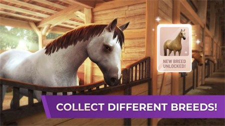 马术世界巡回赛_一笑下载站